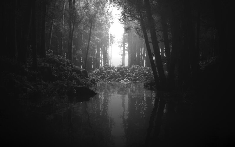 Forest Stream at Dawn — Black