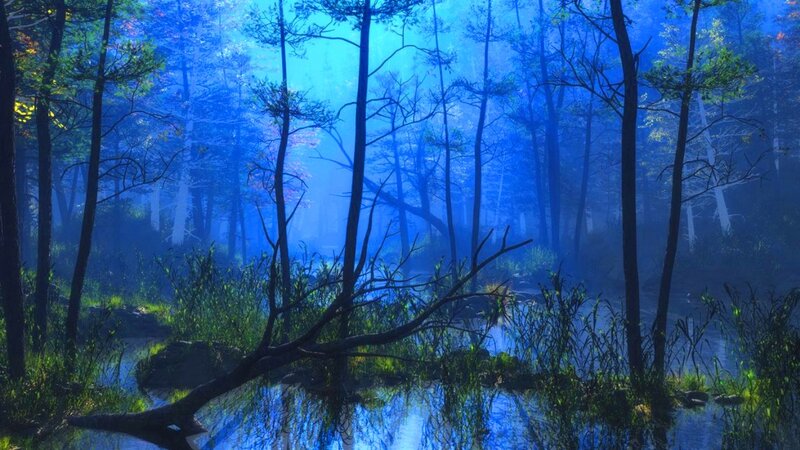 Forest Stream at Dawn — Blue, Serene, Morning