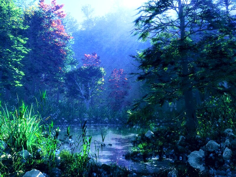 Forest Stream at Dawn — Blue