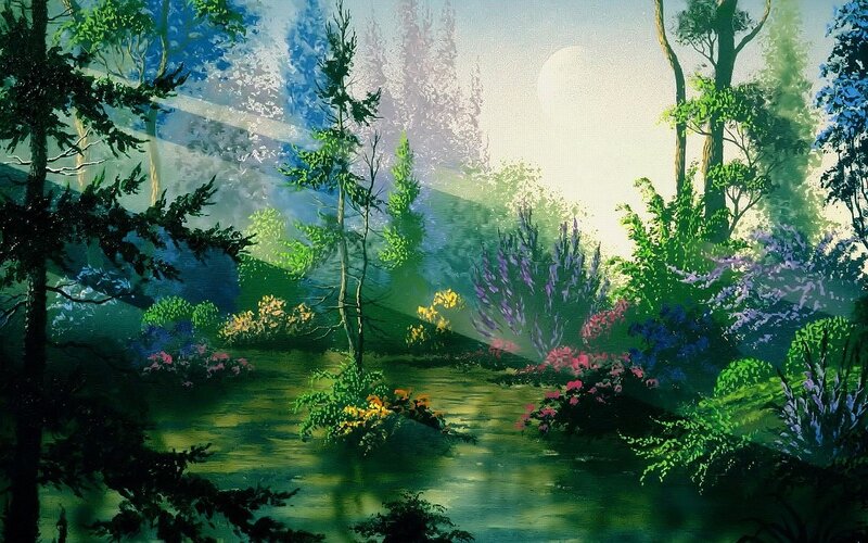 Forest Stream at Dawn — Green, Serene, Morning