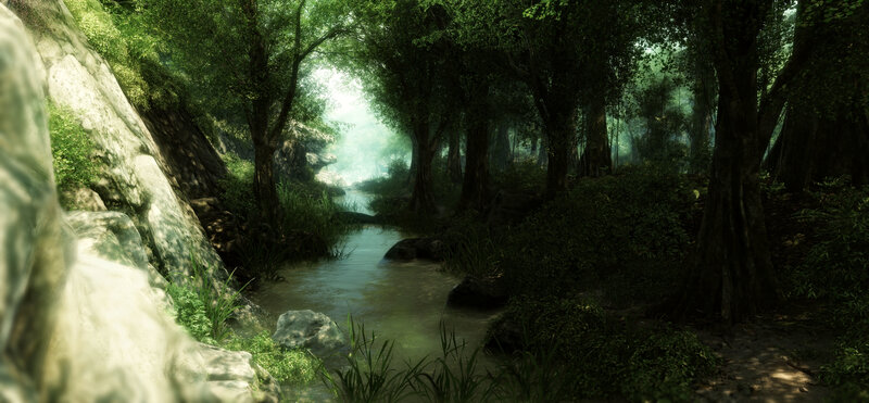 Forest stream at dawn