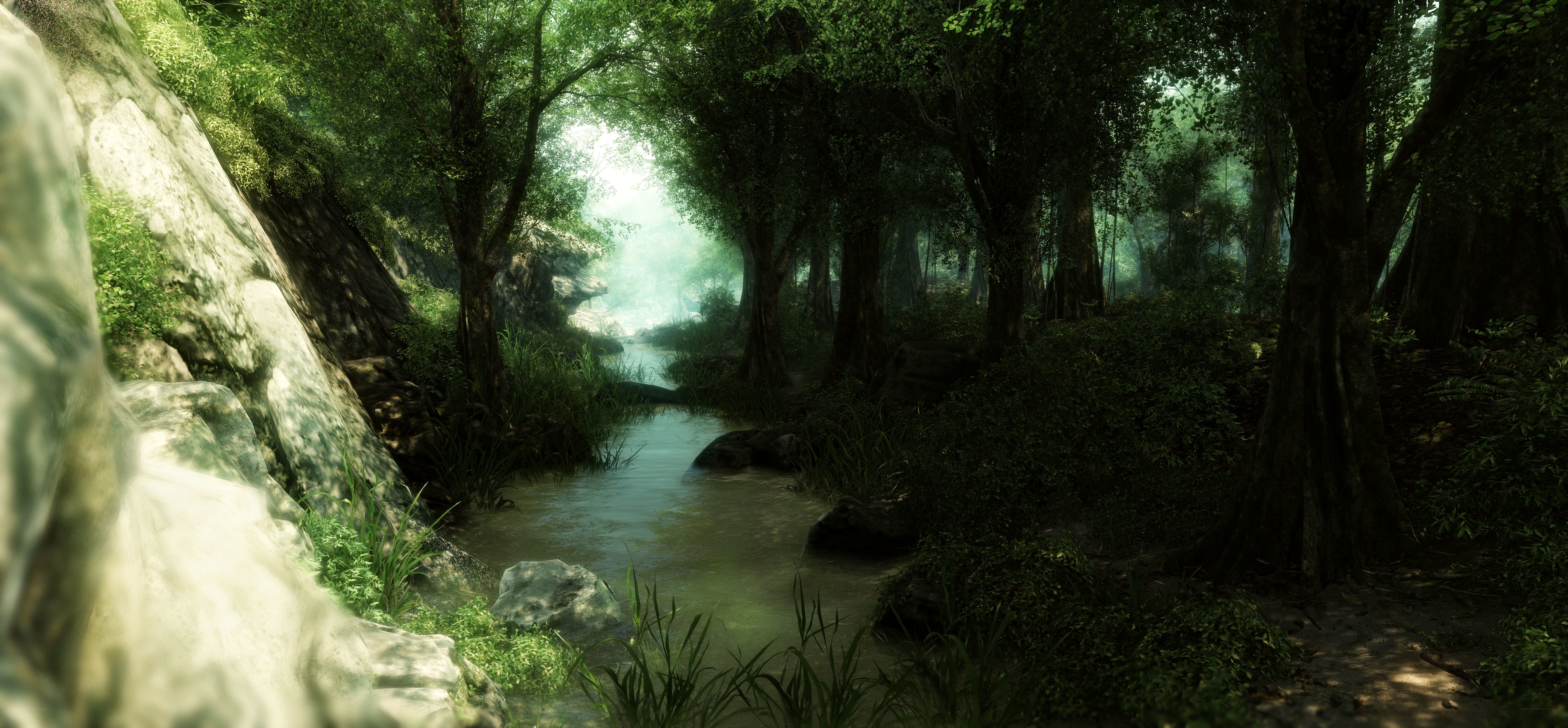 Forest stream at dawn