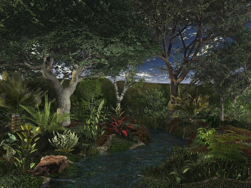 Forest stream at dusk