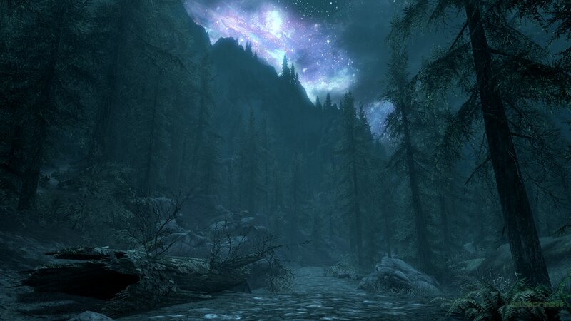 Forest Stream at Night — Blue