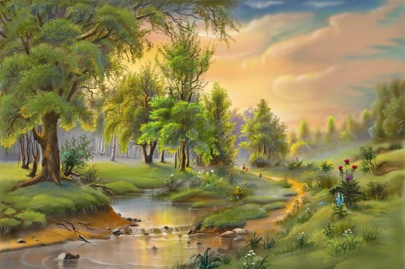 Forest stream at sunset