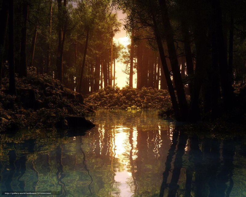 Forest Stream at Sunset — Green, Serene, 3d Render