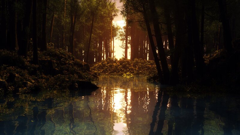 Forest Stream at Sunset — Green