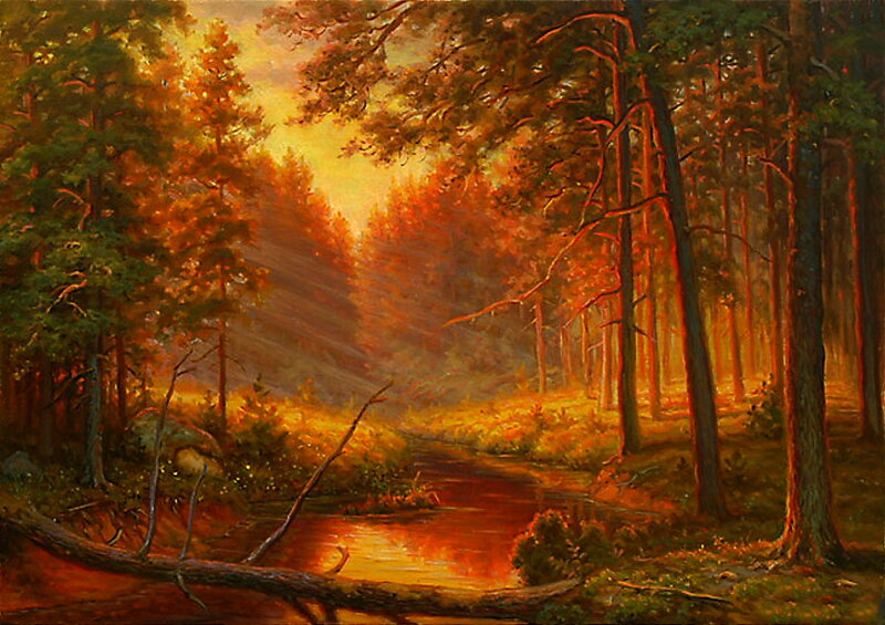 Forest Stream at Sunset — Orange