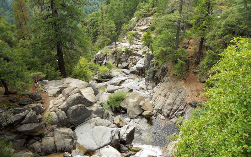 Forest stream flowing over rocks