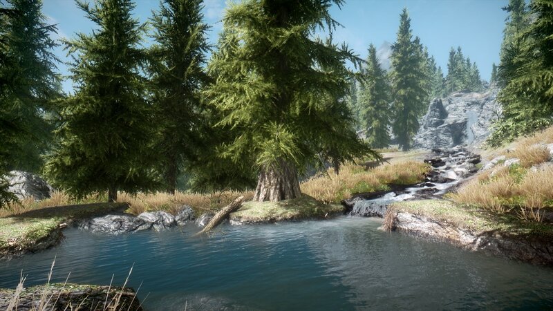 Forest stream in a mountain valley