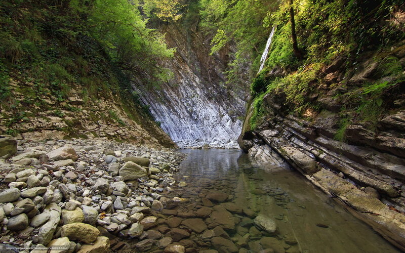 Forest stream in a rocky canyon