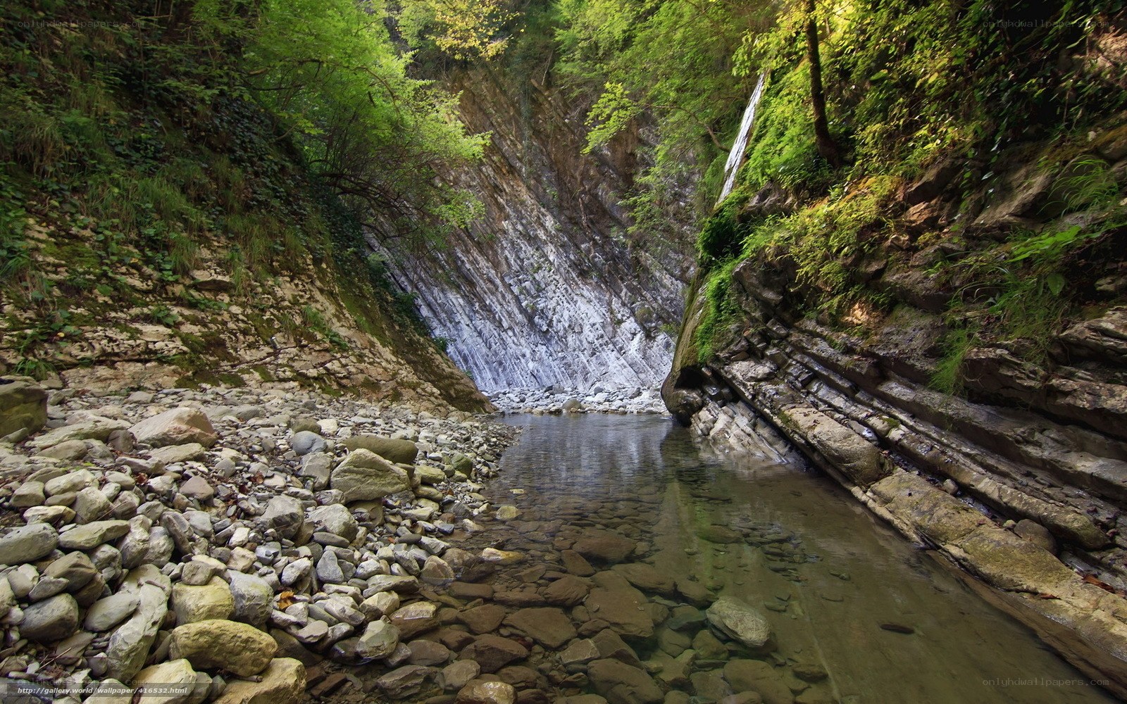 Forest stream in a rocky canyon