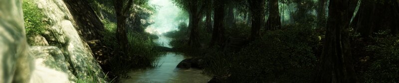 Forest stream in misty light