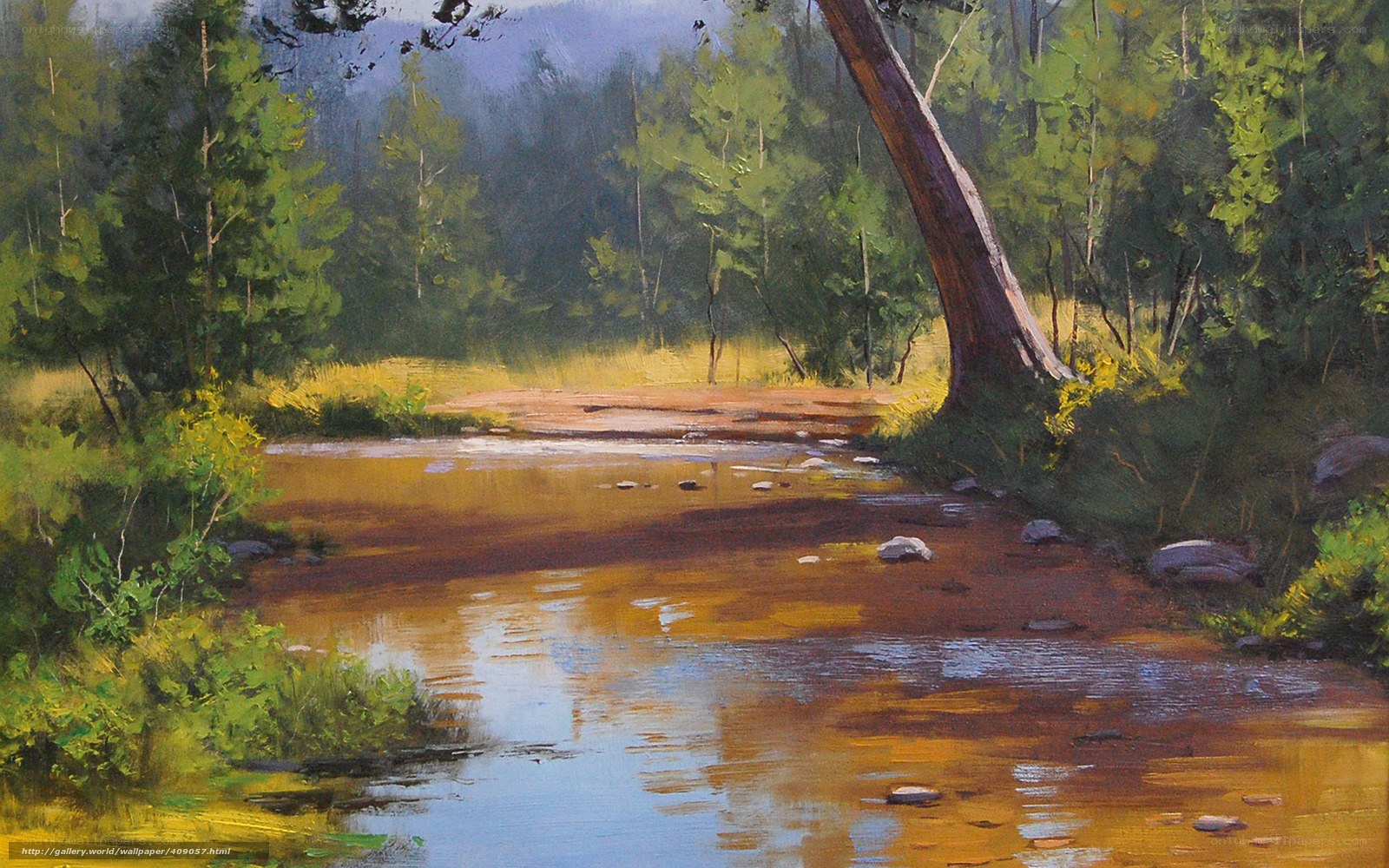 Forest stream landscape