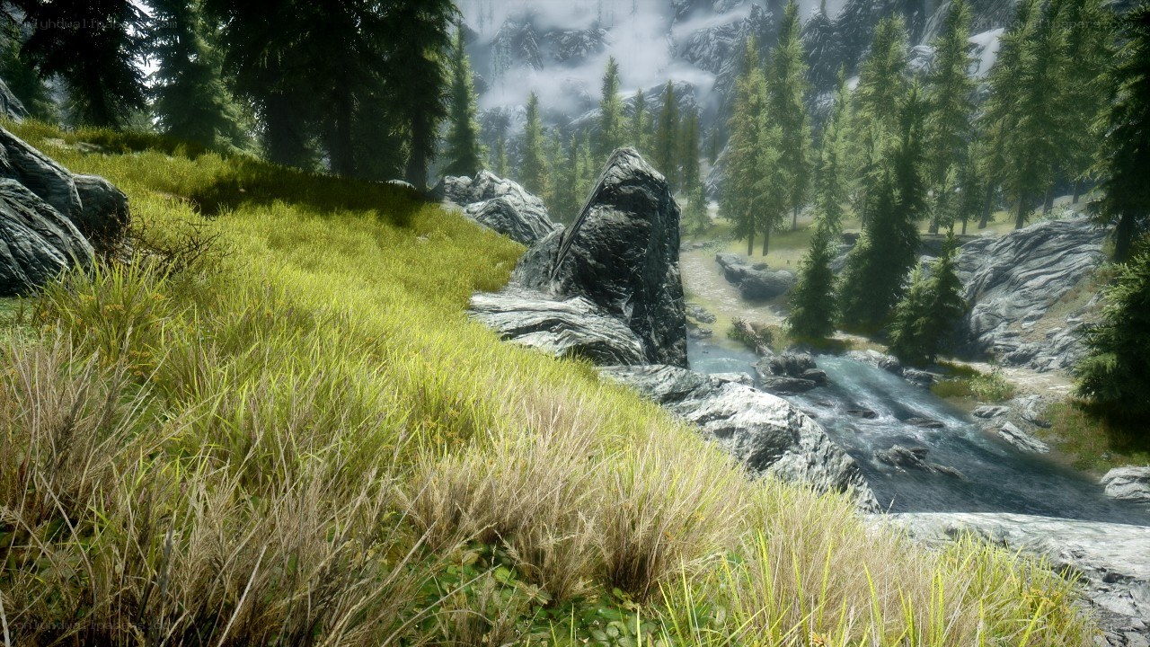 forest stream landscape