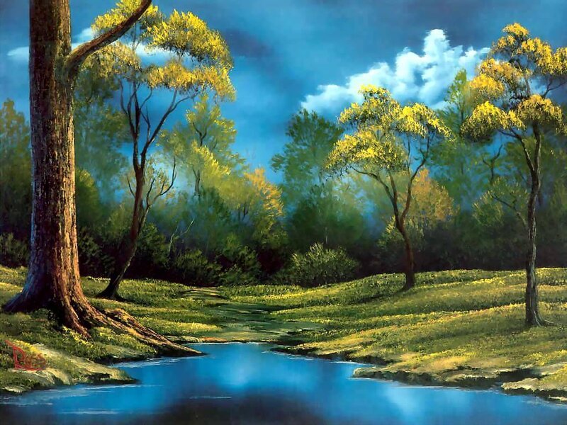 Forest stream landscape