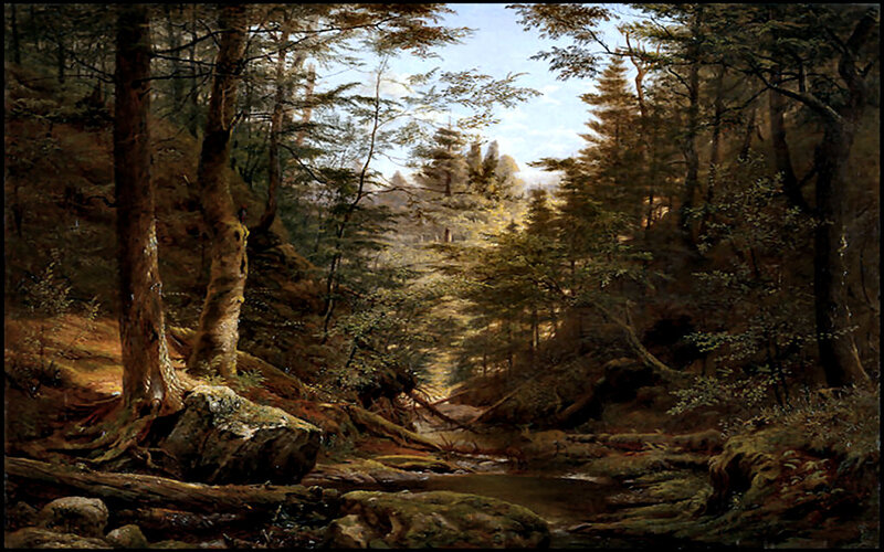 Forest Stream Landscape — Green, Serene, Afternoon