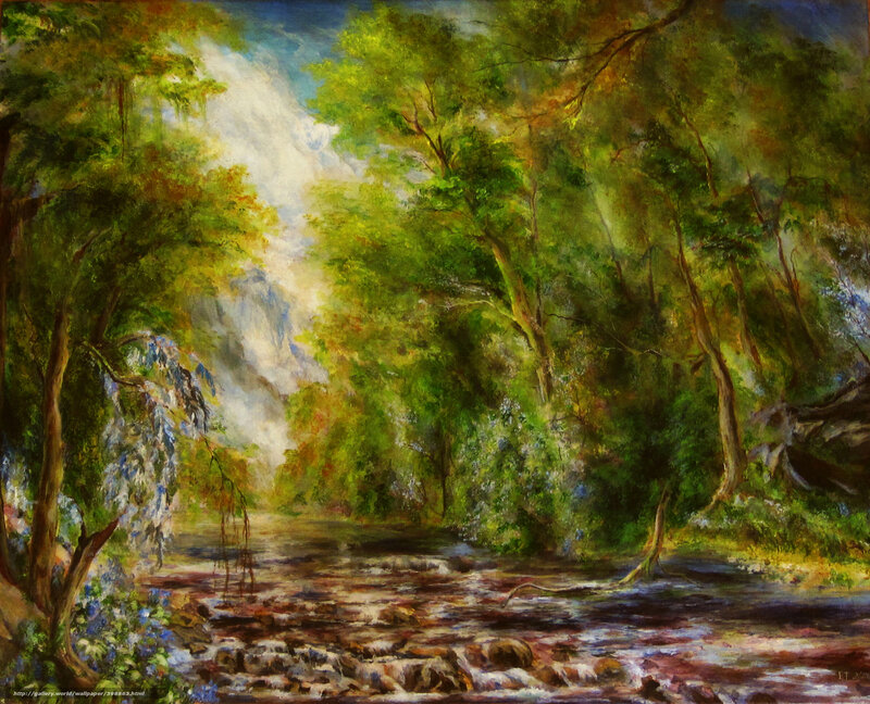 Forest Stream Landscape