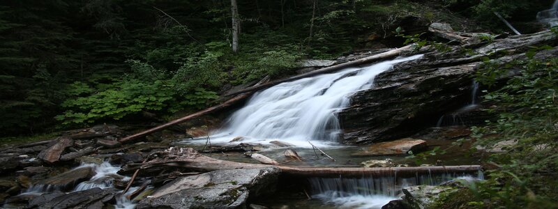 Forest stream waterfall
