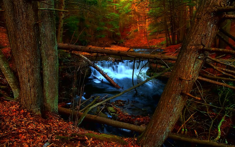 Forest Stream Waterfall — Blue