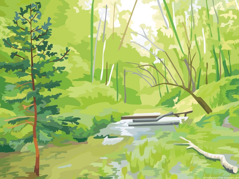 Forest Stream with Bench