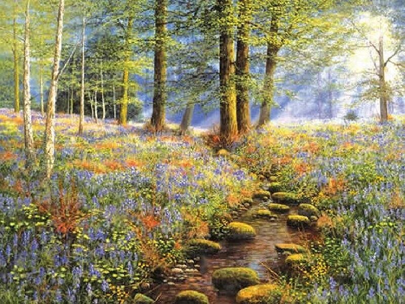 Forest Stream with Bluebells
