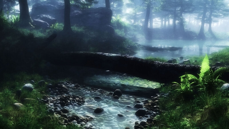 Forest Stream with Fallen Log — Green
