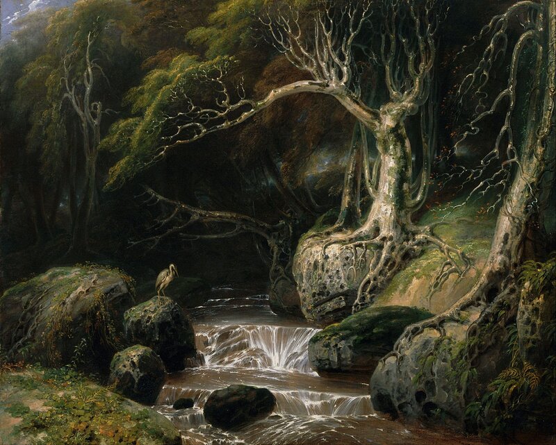 Forest Stream with Heron