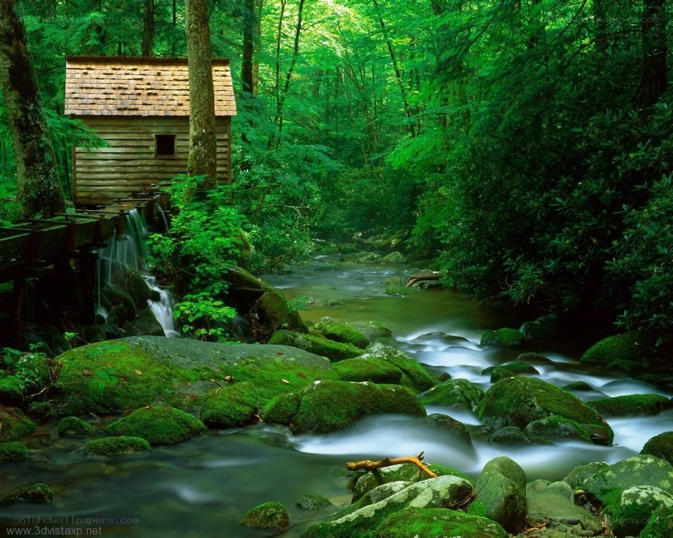 Forest stream with mill
