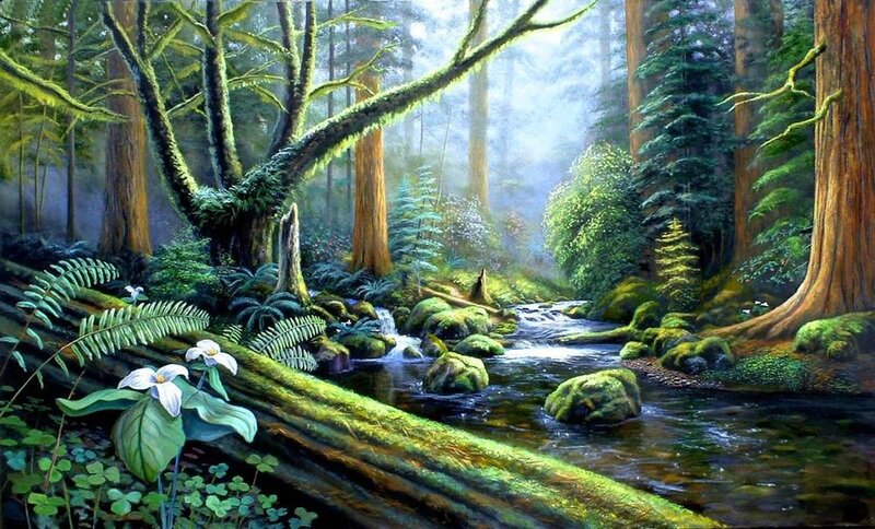 Forest Stream with Moss