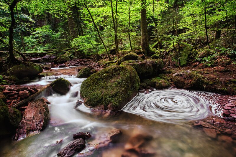 Forest stream with mossy rocks