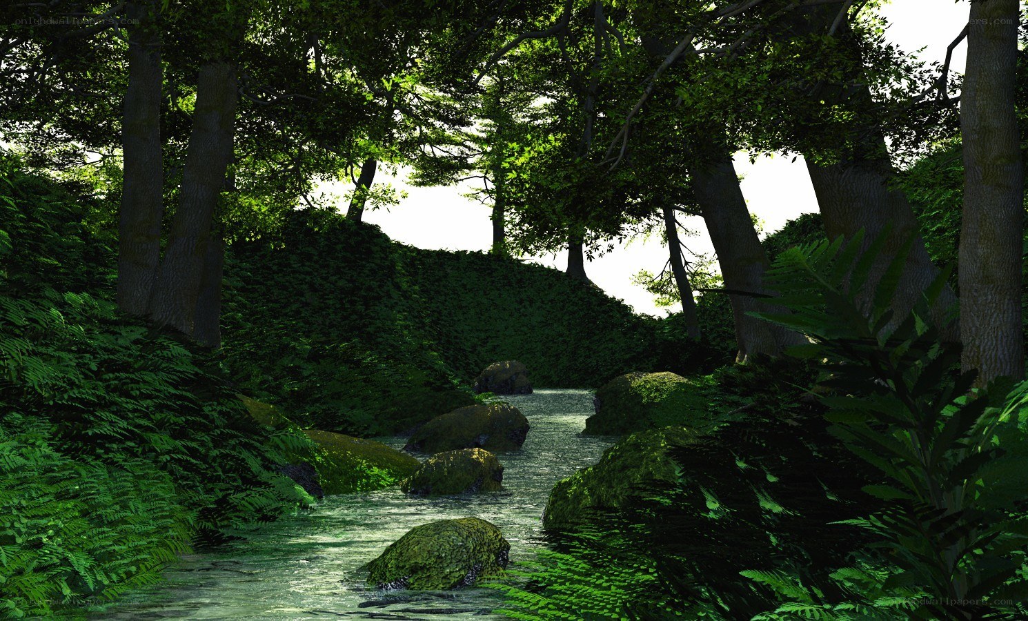 Forest stream with mossy rocks