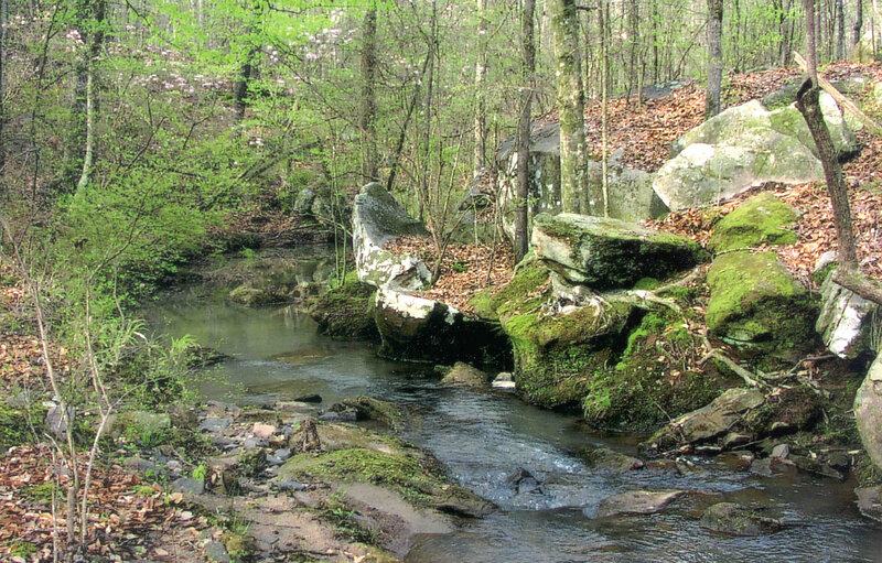 Forest stream with mossy rocks