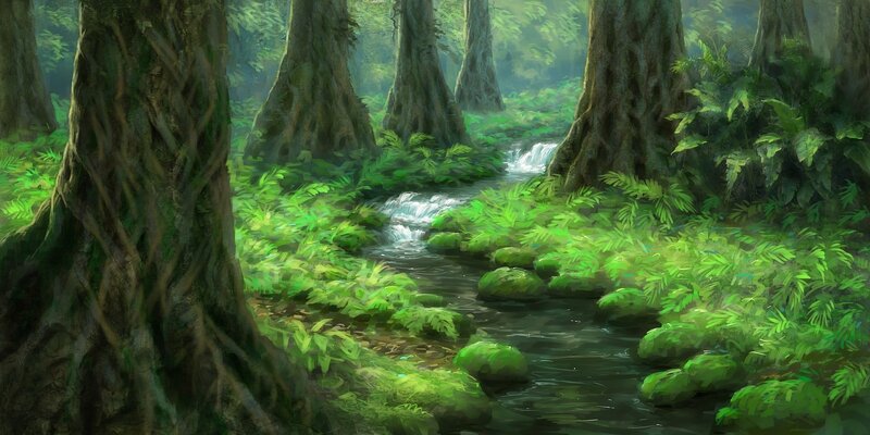 Forest stream with mossy trees