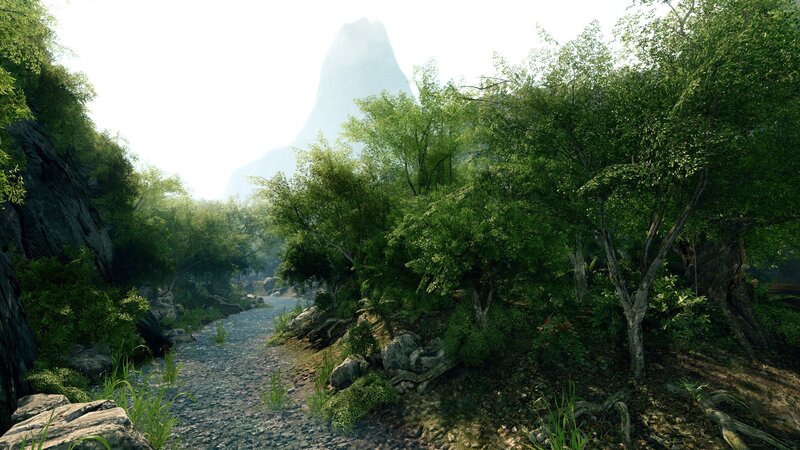 forest stream with mountain view