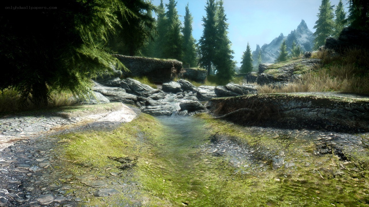 forest stream with mountains