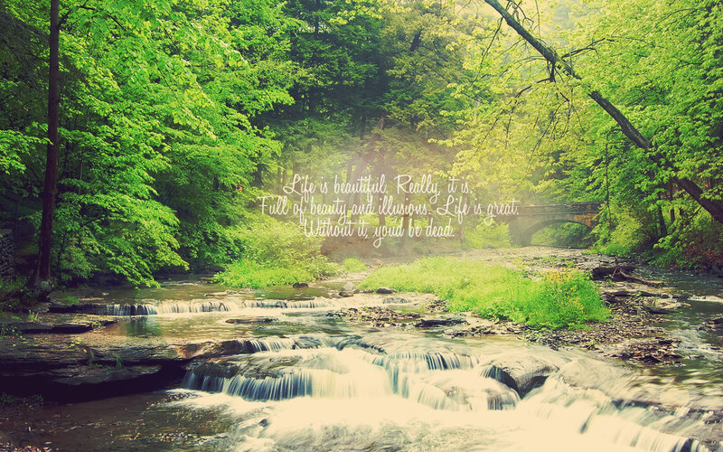 Forest stream with quote