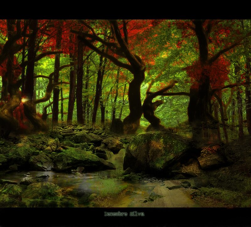 Forest Stream with Red Trees