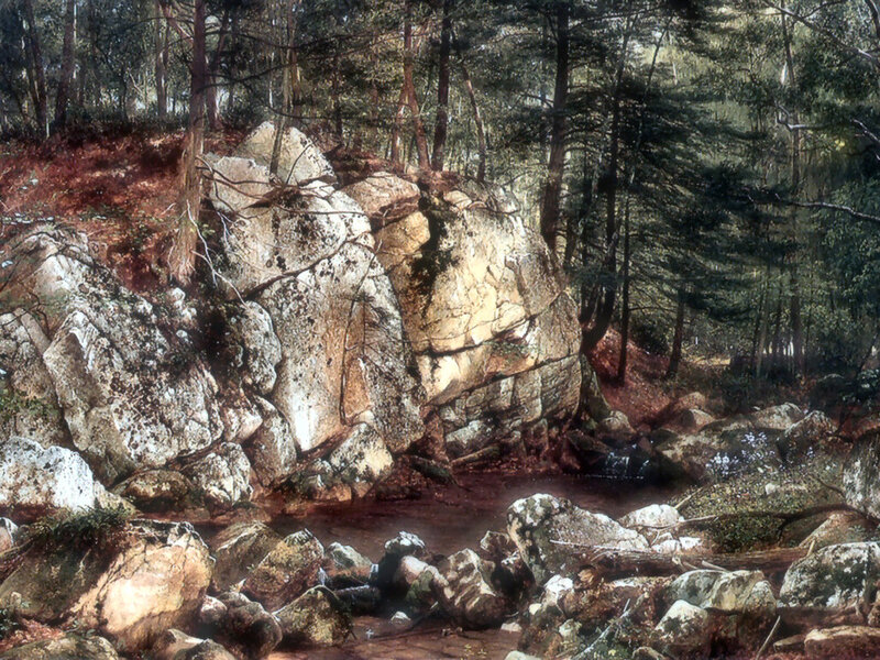 Forest Stream with Rocks — Brown