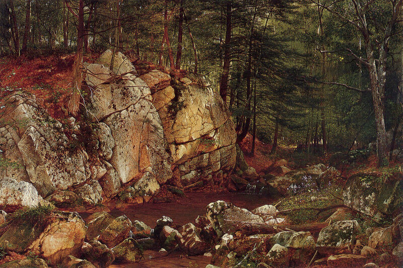 Forest Stream with Rocks — Green, Serene