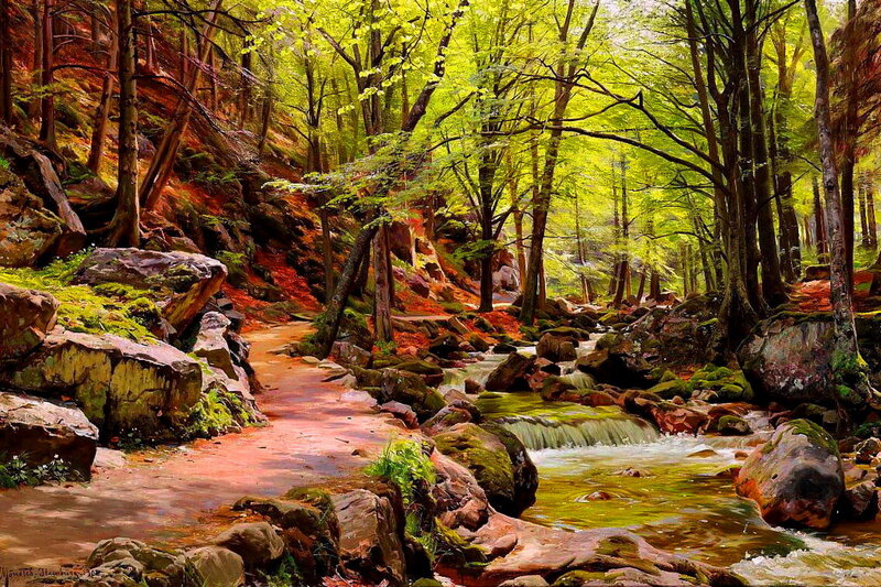 Forest Stream with Rocks — Green