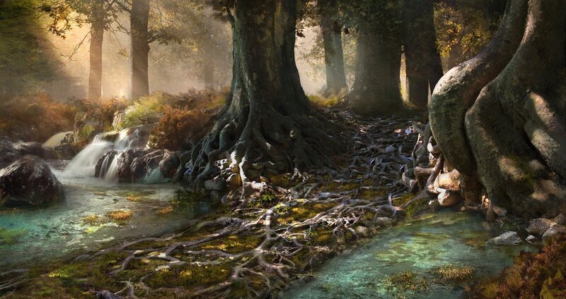 Forest Stream with Roots