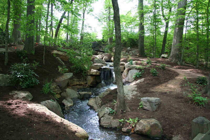 Forest stream with small waterfall