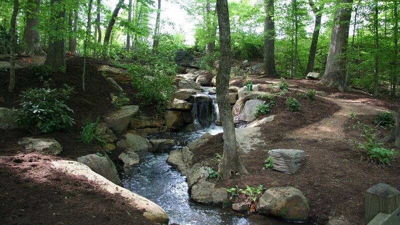 Forest stream with small waterfall