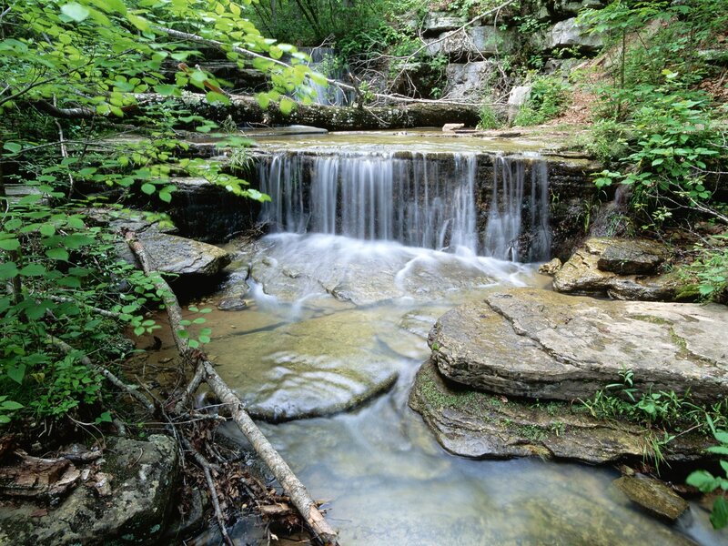 Forest stream with small waterfall