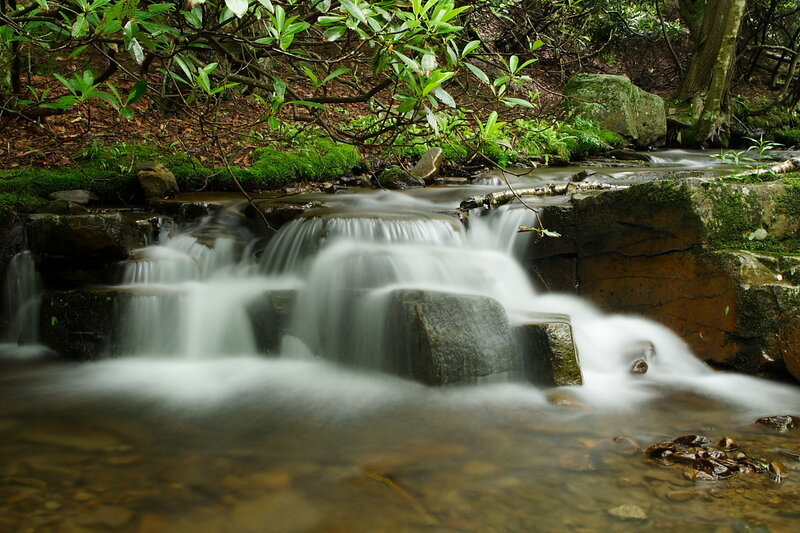 Forest stream with small waterfall