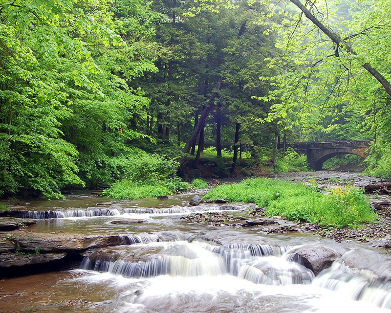 Forest stream with stone bridge