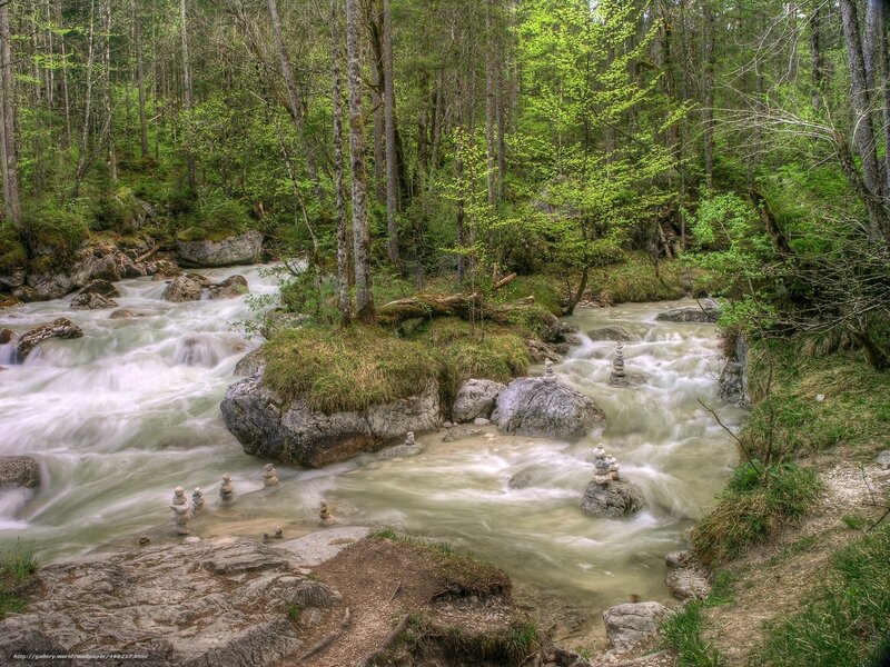 Forest stream with stone cairns