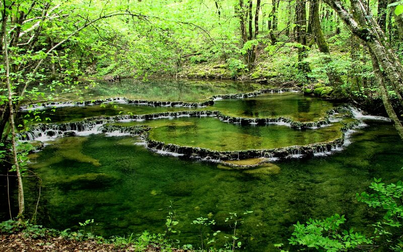 Forest stream with terraced pools