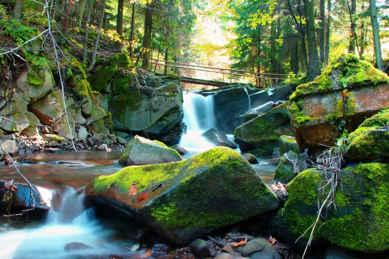 Forest stream with waterfall